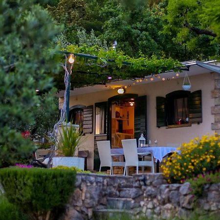 Holiday Home Oaza 바스카보다 외부 사진