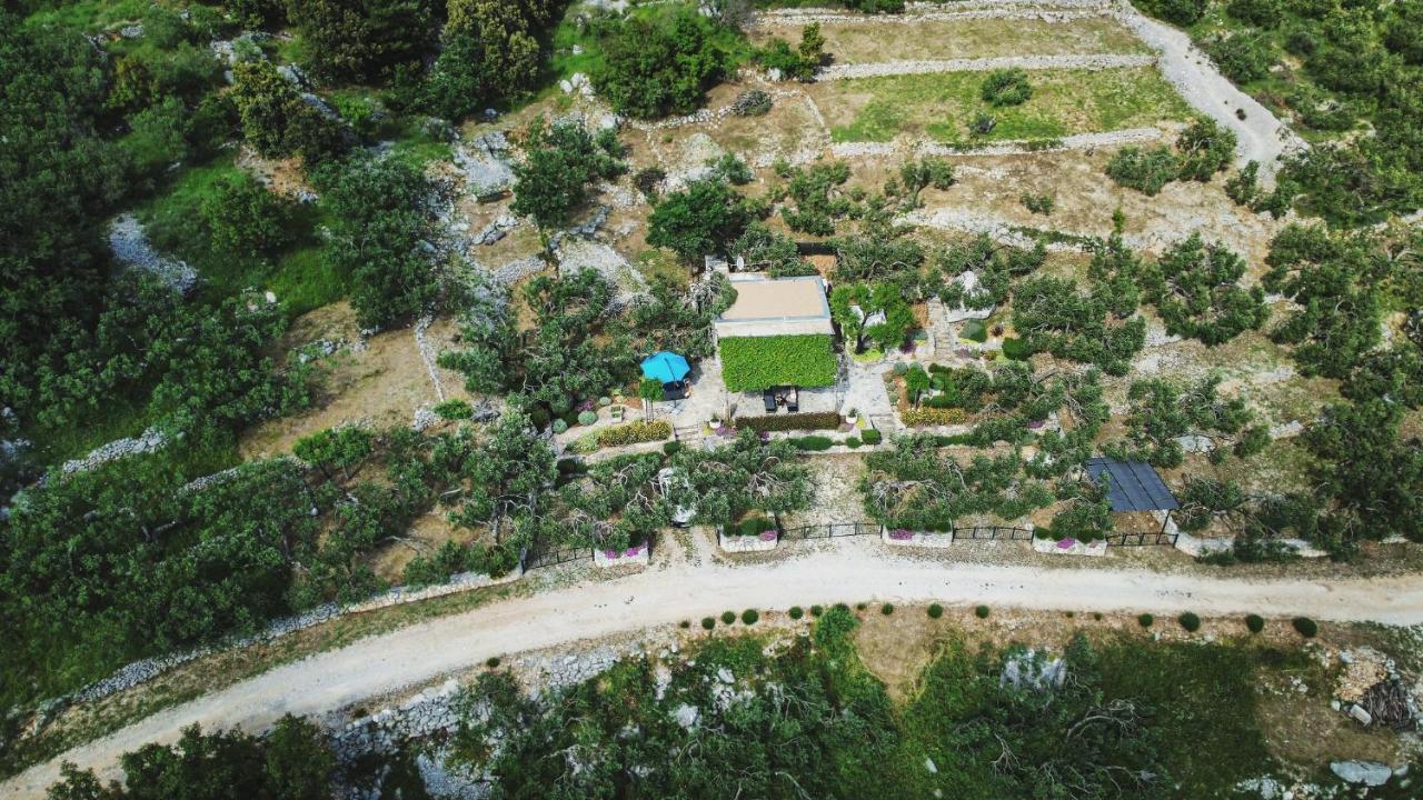 Holiday Home Oaza 바스카보다 외부 사진