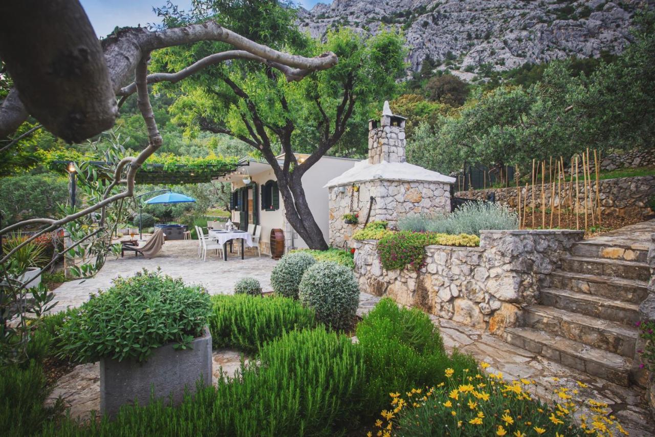 Holiday Home Oaza 바스카보다 외부 사진